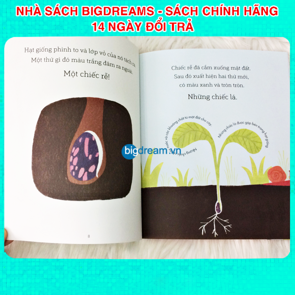 Câu chuyện khoa học A Science Storybook Bộ 4 quyển Truyện kể cho bé trước giờ đi ngủ phát triển tư duy