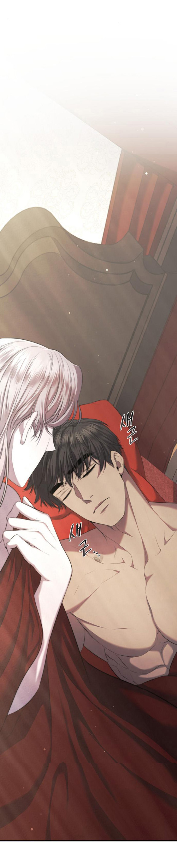 ai đã bắt cóc hoàng hậu? chapter 21.1 10