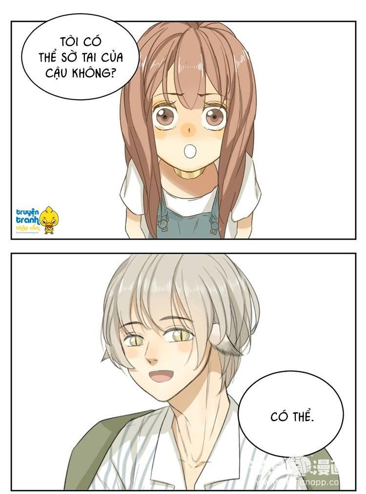 cứu mạng ! loài mèo thống trị thế giới rồi ! chapter 13 26