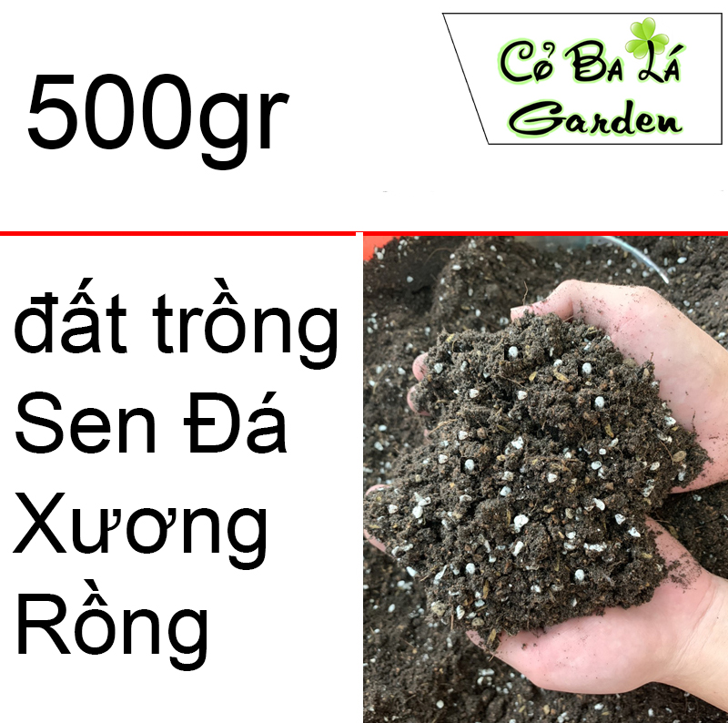 đất trồng sen đá,xương rồng ( túi 500gram)