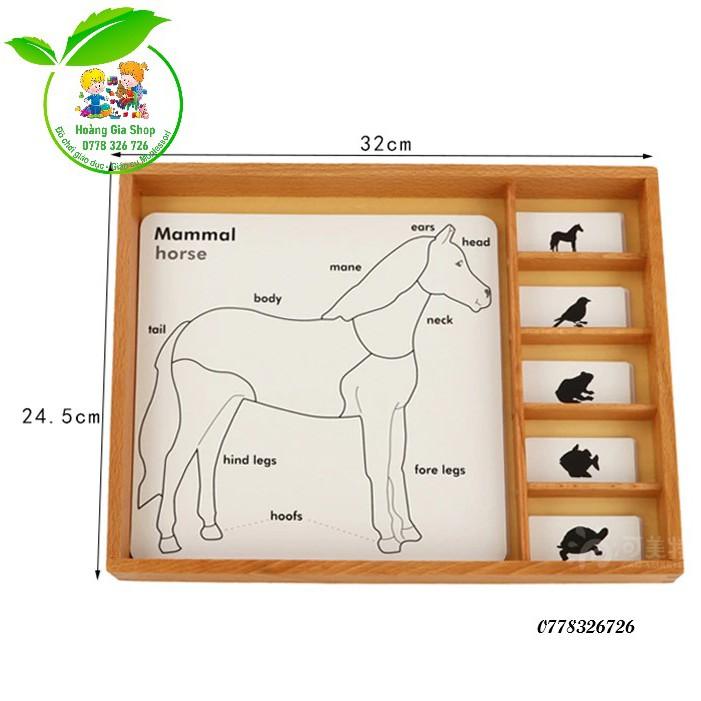 Bộ thẻ học 3 phần động vật (Animal Puzzle Activity Set)