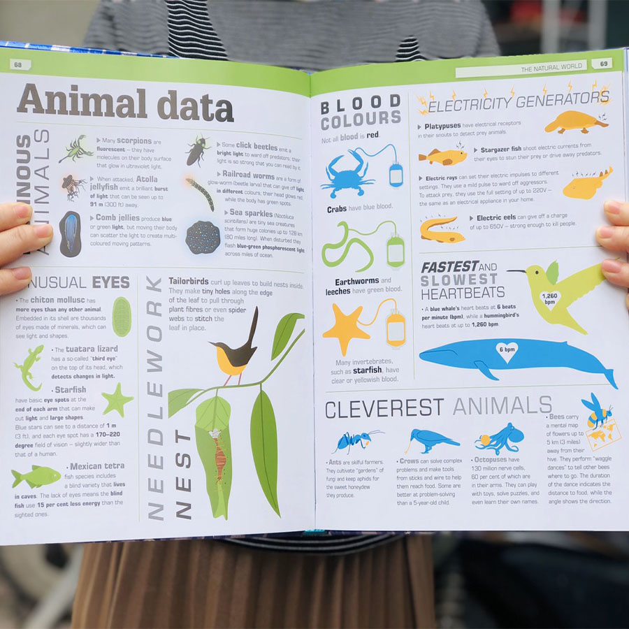 It Can’t Be True 2 ! More Incredible Visual Comparisons