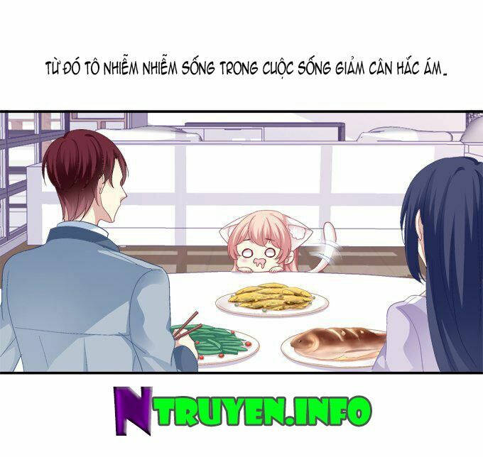 dụ hoặc miêu yêu chapter 51.5 14