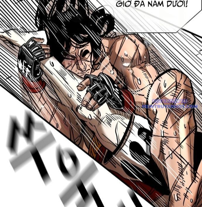 shark - cá mập chapter 340 76