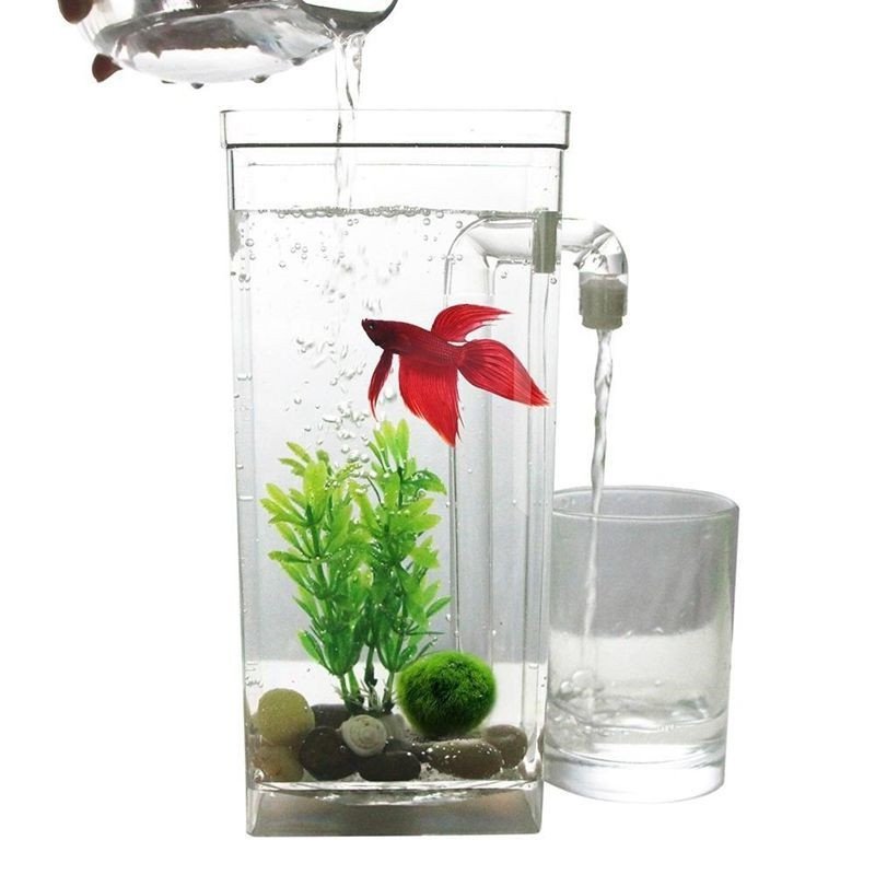 Bể Cá Mini Tự Làm Sạch Có Vòi My Fun Fish 26x13cm