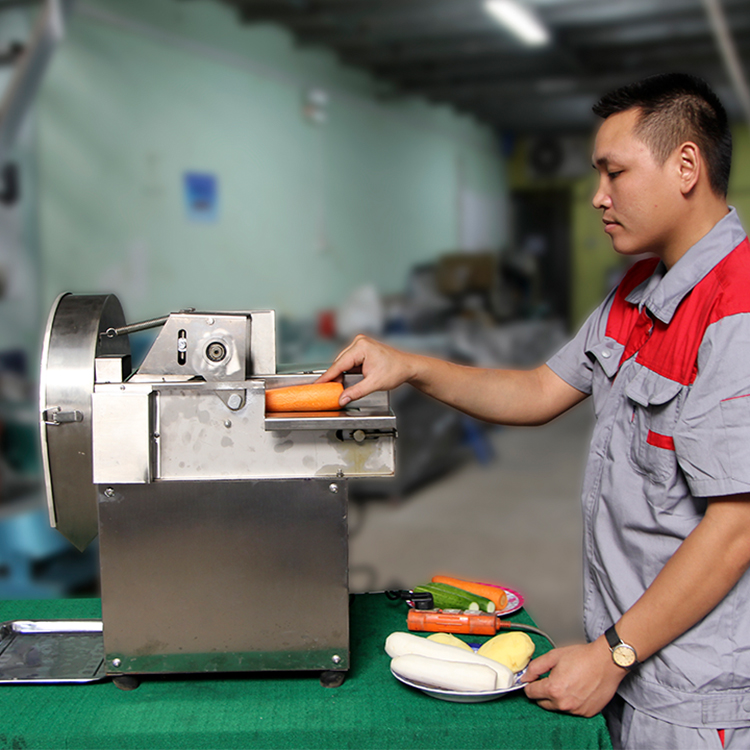 Máy Thái Rau Củ Quả 3A240W Năng Suất 30-150Kg/h - Hàng Chính Hãng