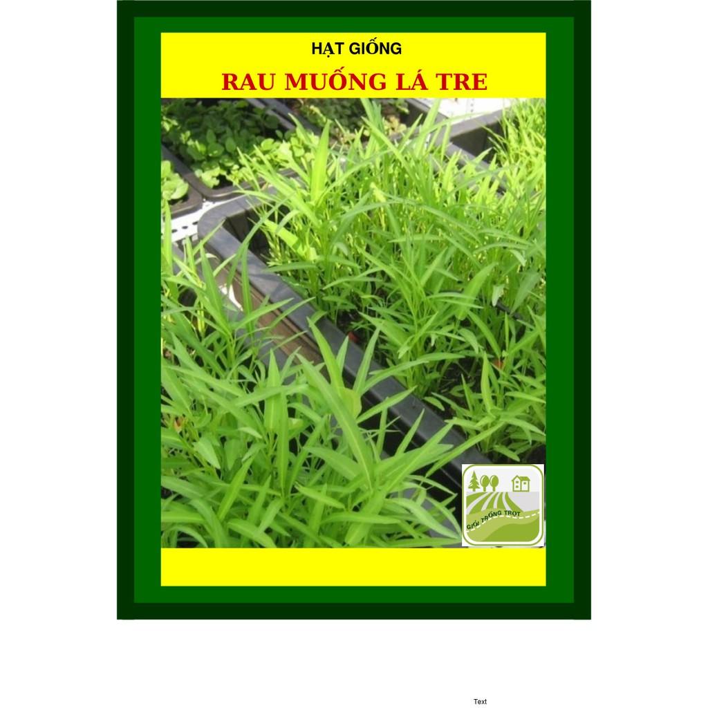 100G - Hạt Giống Rau Muống Lá Tre Việt Nam