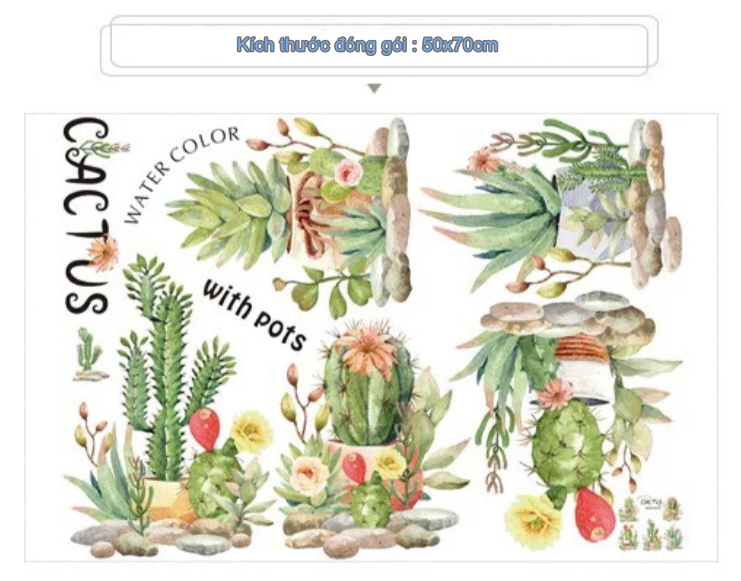 Decal trang trí tường - Những cây xương rồng và sen đá