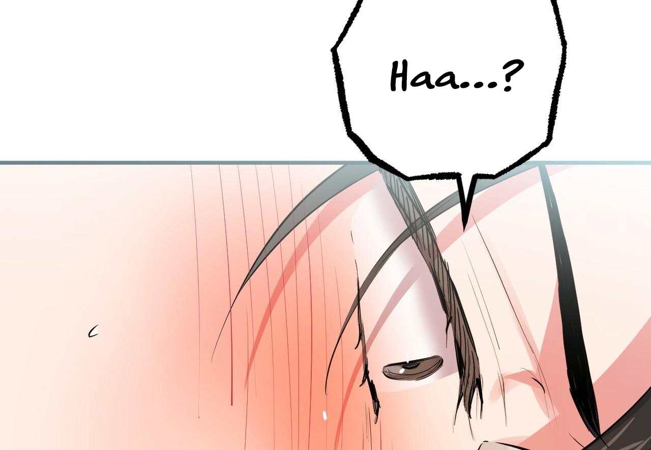 đàn thỏ của habibi chapter 29 42