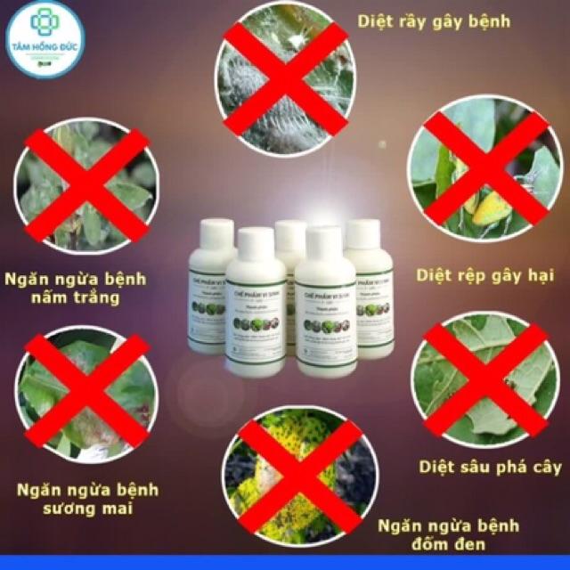 CHẾ PHẨM VI SINH P-GRO 100ml