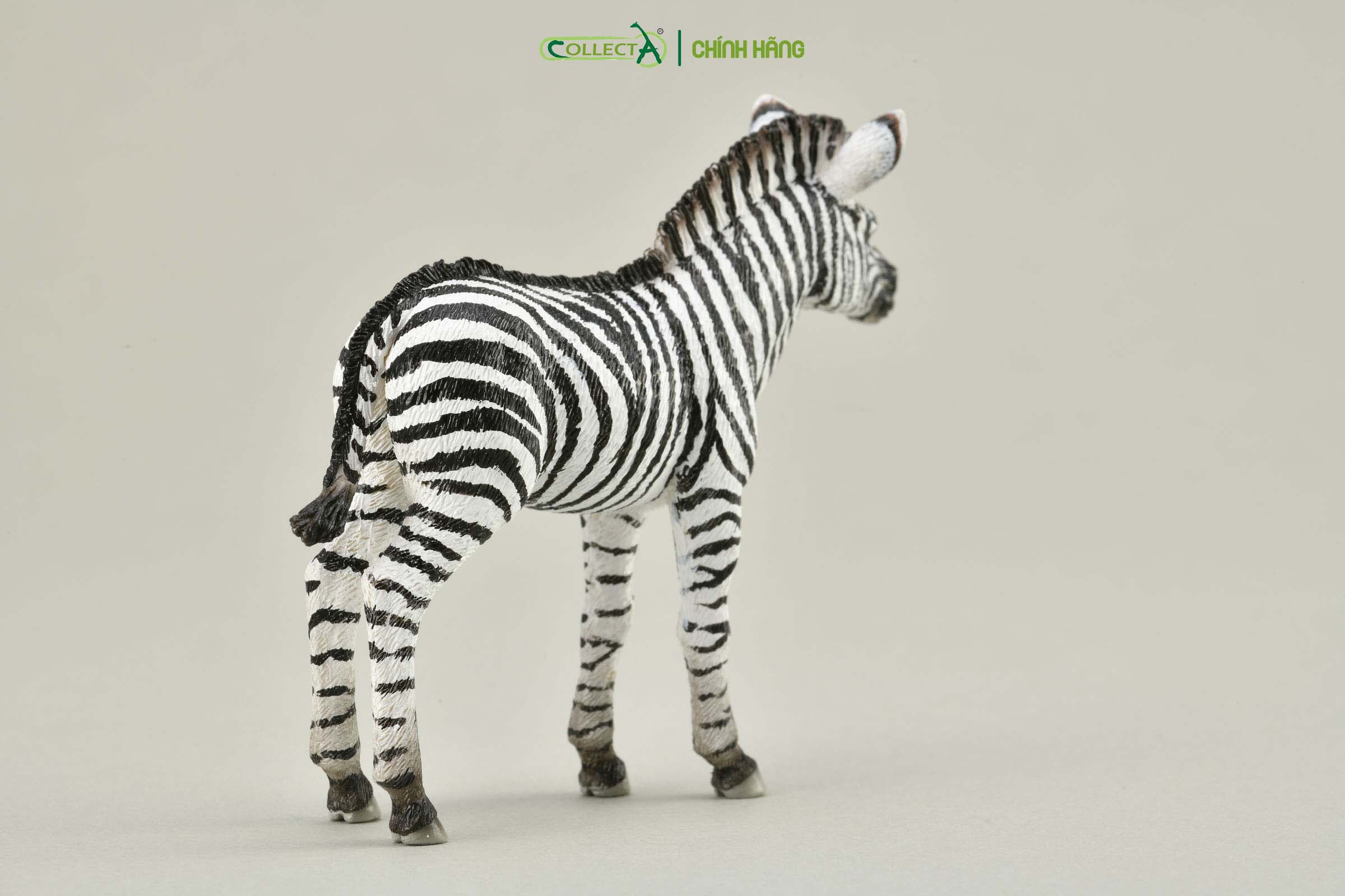 Mô hình thu nhỏ: Ngựa Vằn con - Zebra Foal , hiệu: CollectA, mã HS 9651071[88850] -  Chất liệu an toàn cho trẻ - Hàng chính hãng