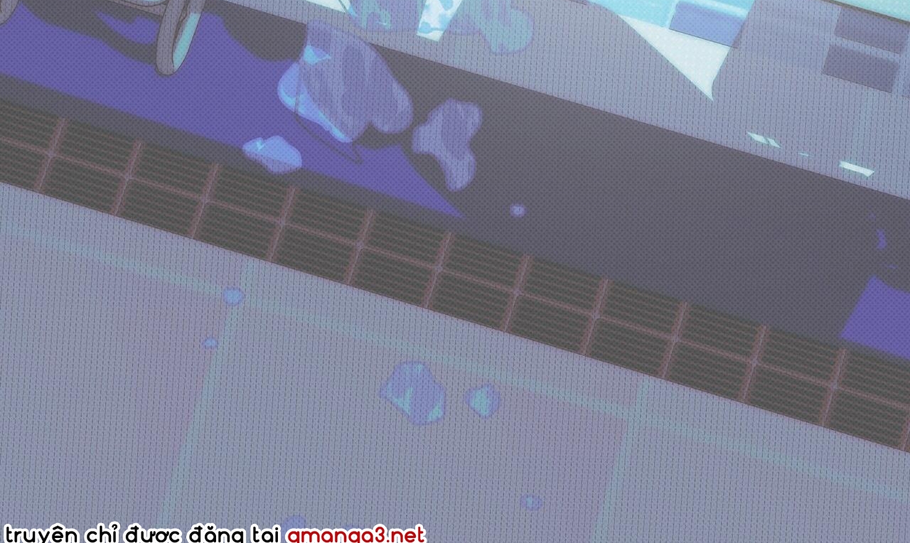 chàng giao pizza và gold palace chapter 37 74