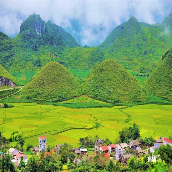 Mùa hoa tam giác mạch: Hà Giang - Lũng Cú - Đồng Văn - Mã Pì Lèng