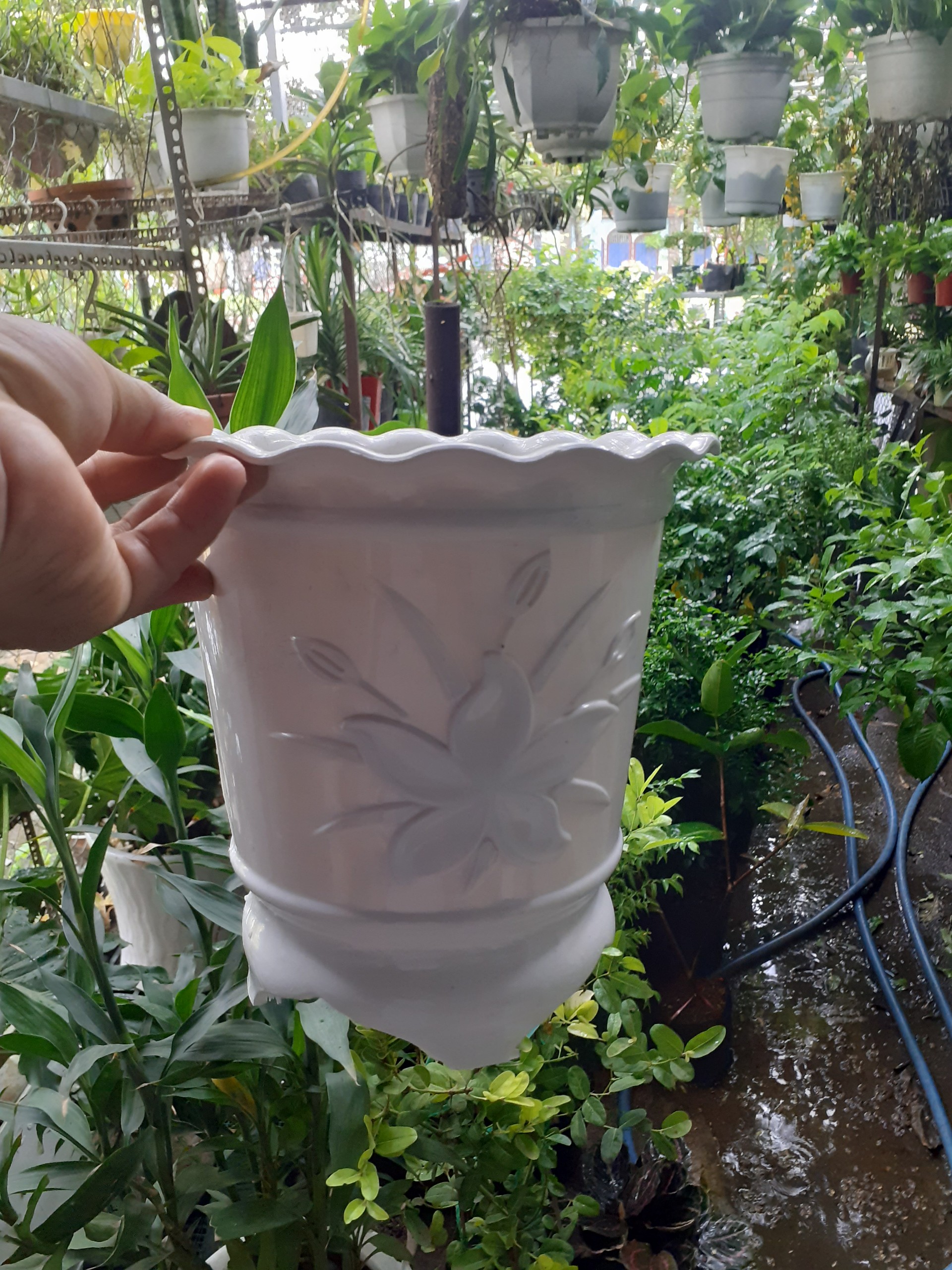 1 cái Chậu nhựa Cao Tròn Bốn chân trồng cây.