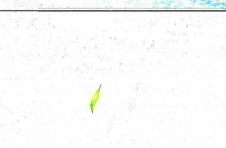 why did you come to my home? chapter 1.1 68