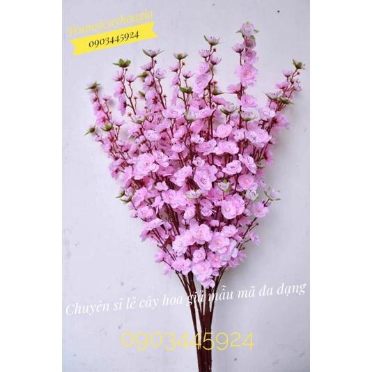Hoa anh đào hàng có sẵn - Hoa Giả