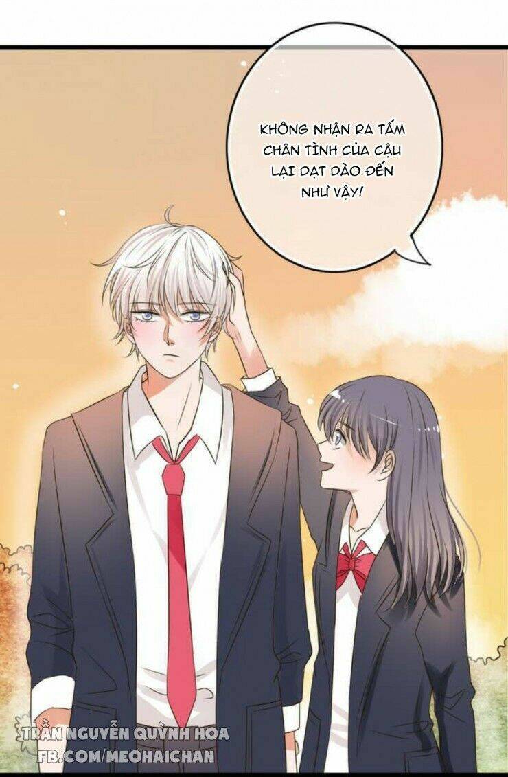 sau con mưa mùa hạ chapter 4 8