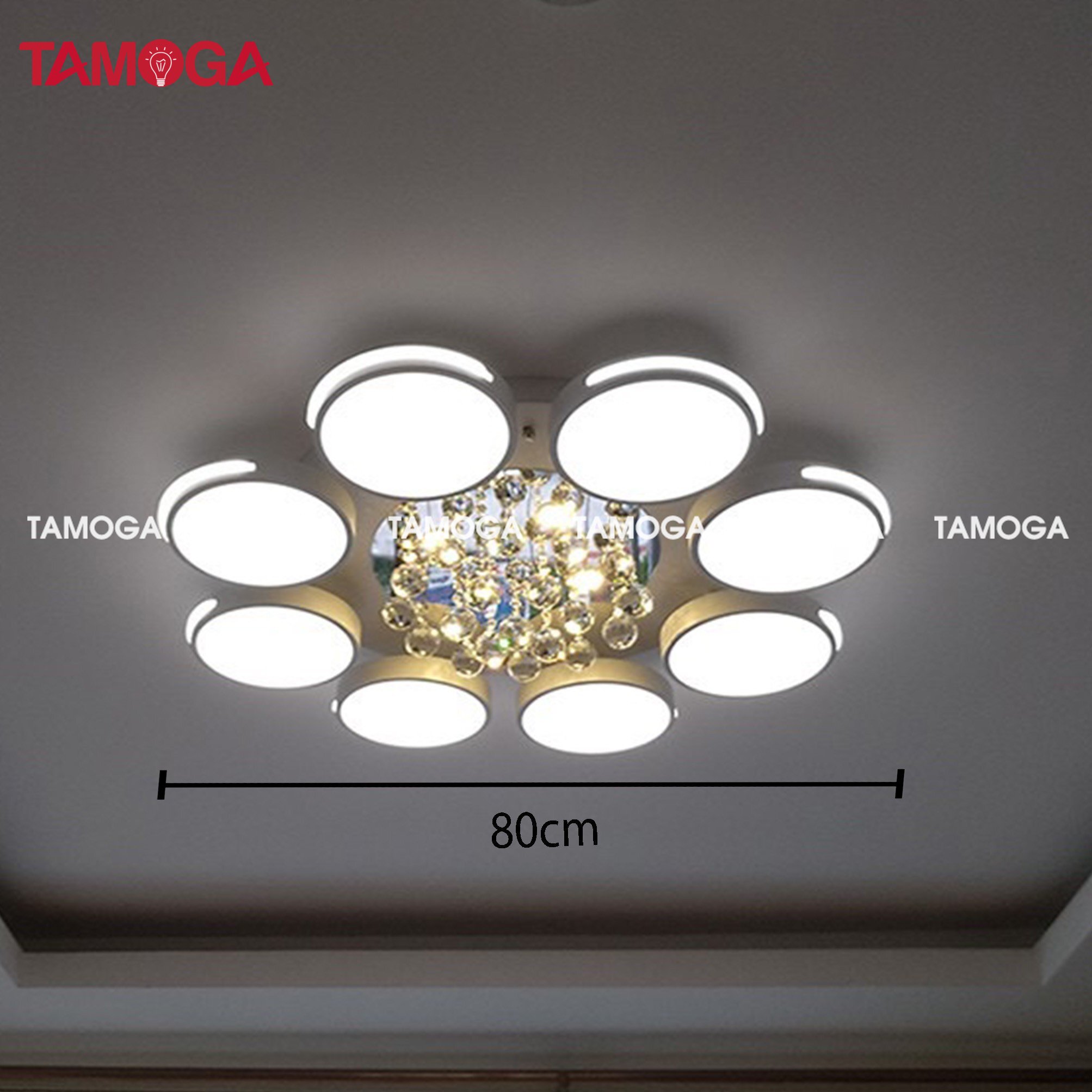 Đèn ốp trần phòng khách pha lê 8 cánh TAMOGA CASIA 9065