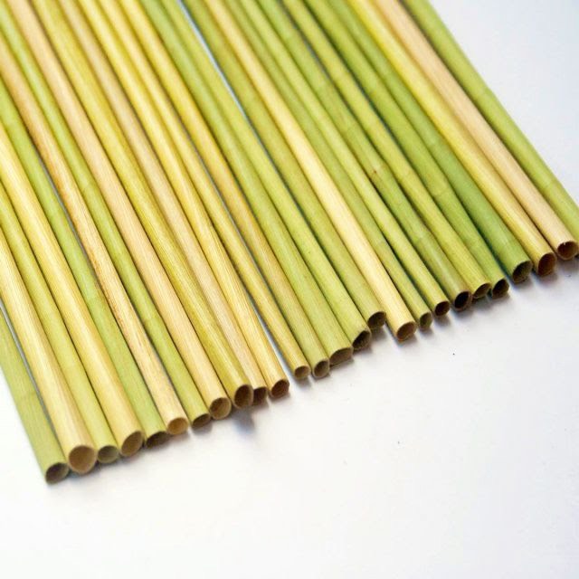 100 Ống hút cỏ (Grass Straws) Eco Friendly - Hàng cao cấp xuất khẩu - Sử dụng được cho tất cả các loại thức uống - Không tan hay biến dạng trong nước