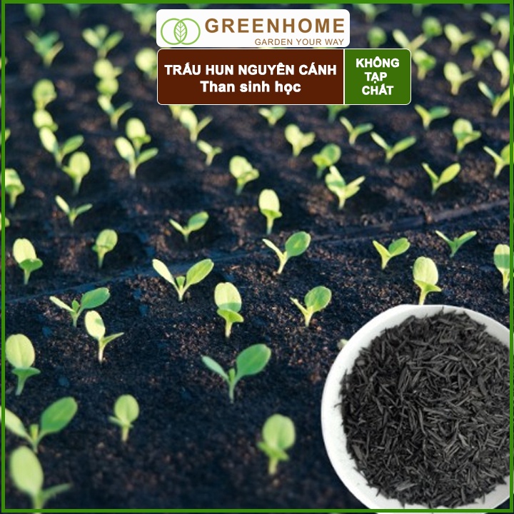 Trấu Hun Greenhome, Bao 5dm3, Sfarm, Giá Thể, Nguyên Cánh Không Lẫn Tạp Chất. Dùng Trồng Thuỷ Canh, Rau Mầm, Ươm Cây Con