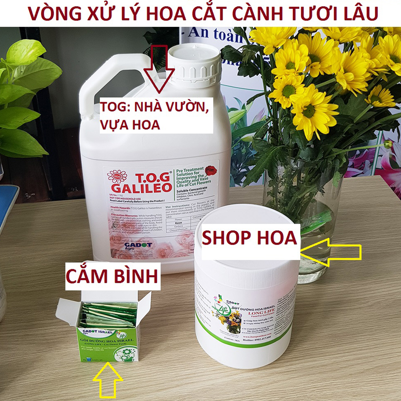 Bột Dưỡng Hoa Hồng Lâu Tàn giúp hoa luôn tươi mới, cánh hoa hồng cứng cáp gấp 2 lần và trong 14 ngày không thối nước hay cắt tỉa gốc hoa