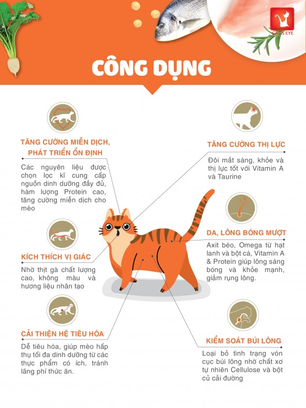 - Thức ăn hạt cho mèo mọi lứa tuổi Tuổi Cat's eye nhập khẩu Hàn Quốc ( túi zip )
