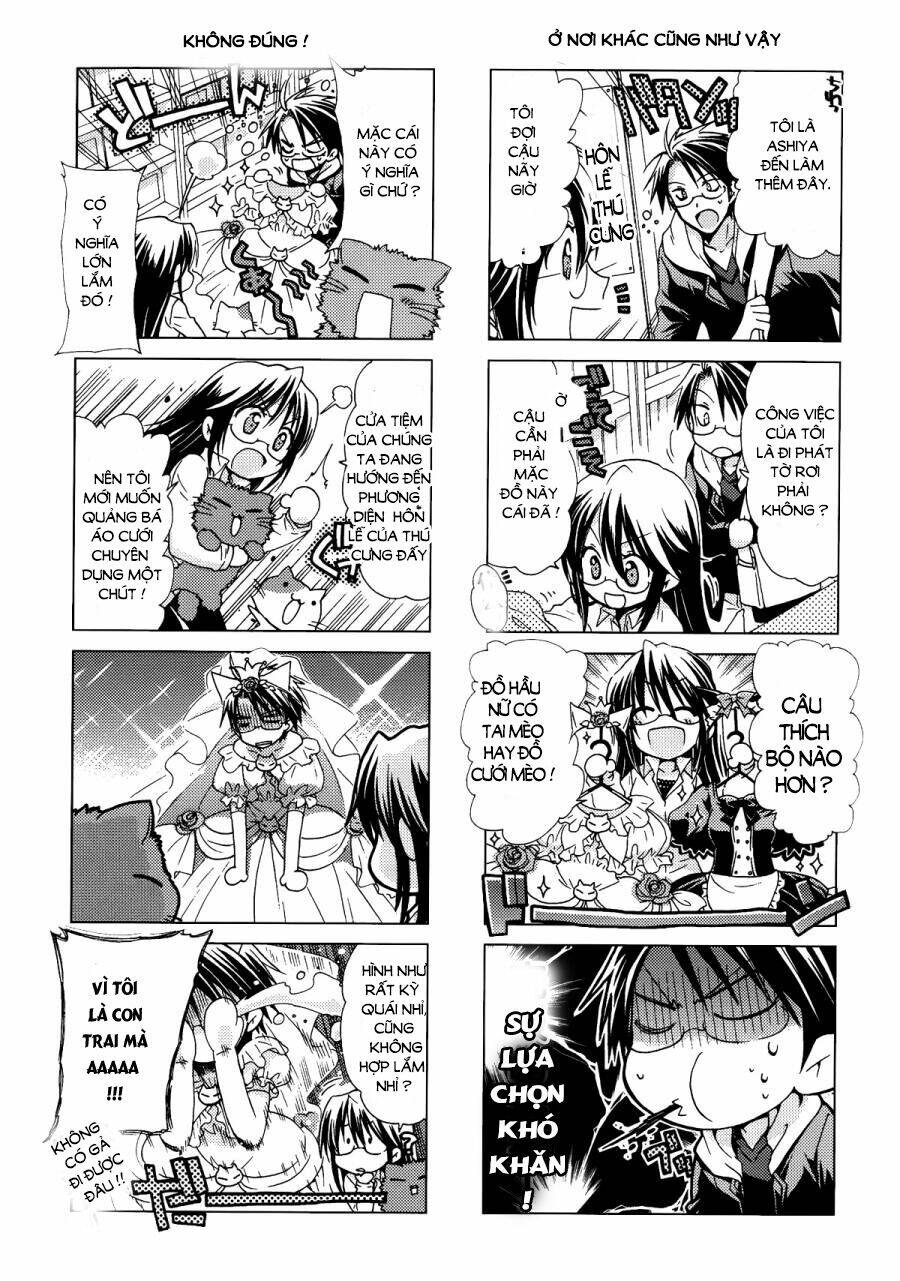 ashiya-san no neko chapter 11 6