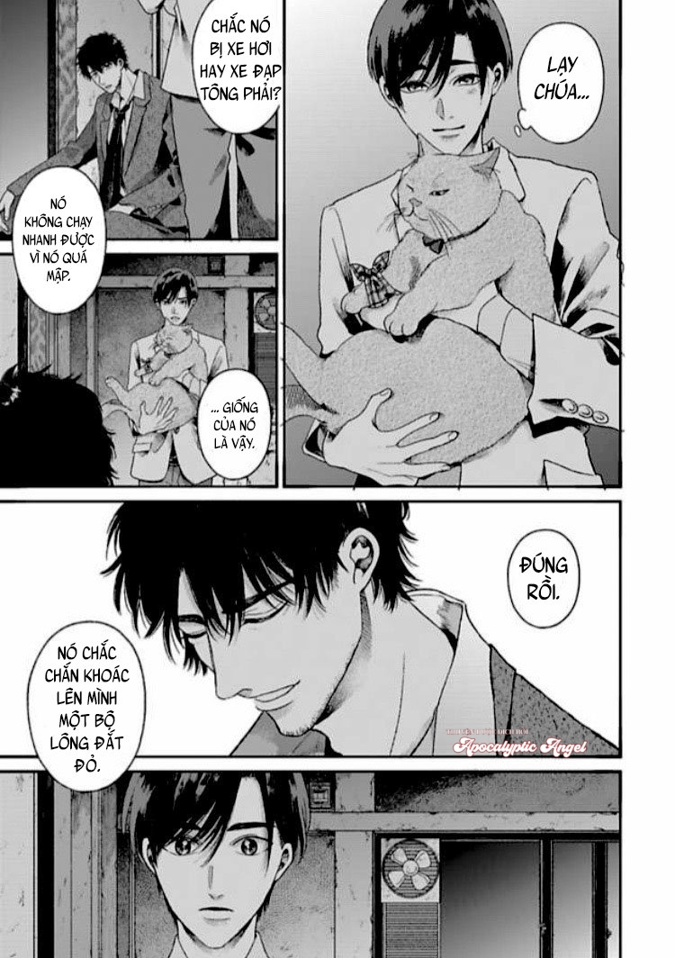 tạm biệt đồng phạm của tôi chapter 1 23