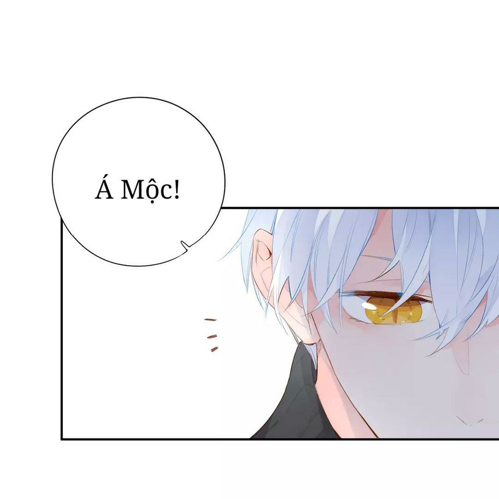 sos! tôi đã yêu một con sâu bướm (phần 2) chapter 51 26