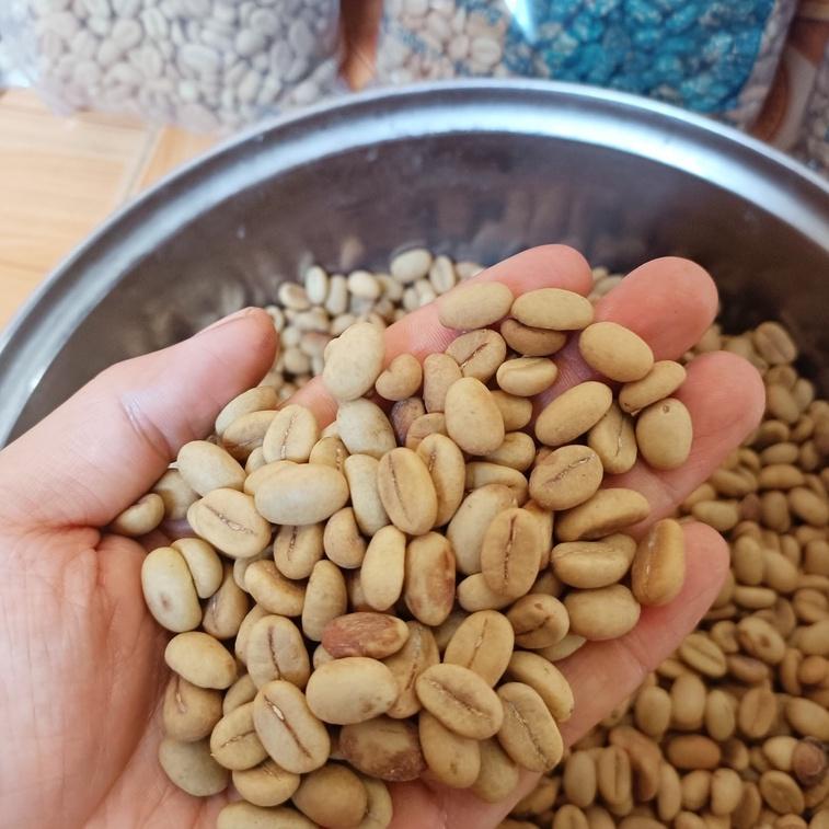 500 gram hạt giống cà phê Thiện Trường