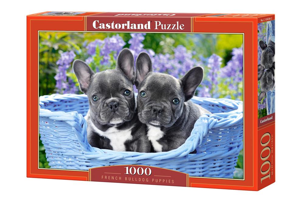Xếp hình puzzle những chú chó Bulldog, Pháp 1000 mảnh CASTORLAND C-104246