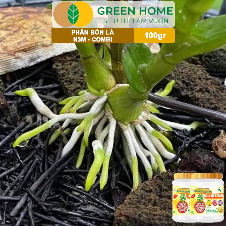 Phân Bón Lá Greenhome, N3M Combi, Hũ 100gr, Ra Rễ Cực Mạnh Dùng Giâm, Chiết Cành, Ngâm Hạt, Kiểng