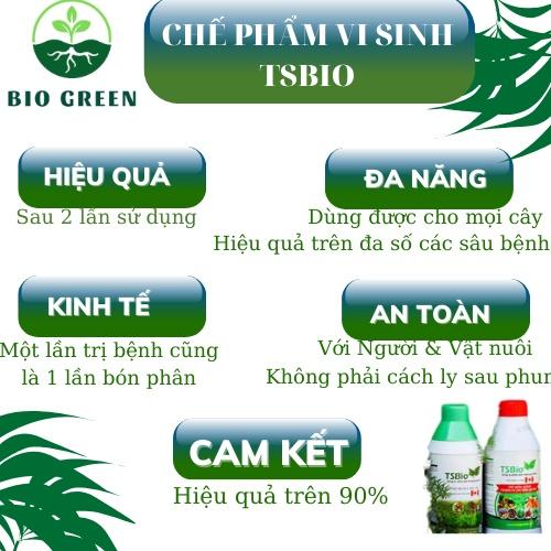 TSBIO 100ml trị nhện đỏ, rệp sáp, sâu vẽ bùa, sâu non, sâu cuốn lá, rệp bọ cánh cứng cho hoa hồng lan sen đá dâu tây