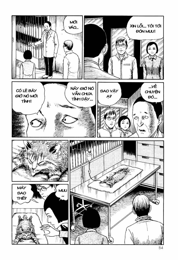 ito junji cat's diary chapter 8 6