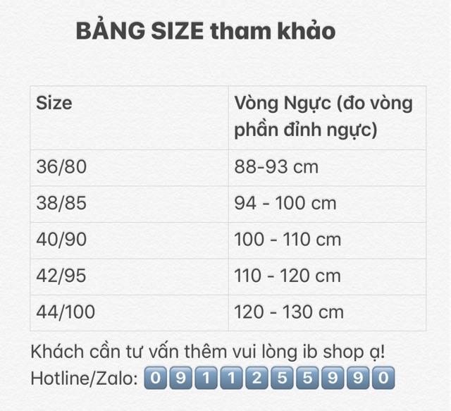 Áo Ngực Quả Ngang Cỡ Lớn Chống Tụt Có Gọng Bigsize