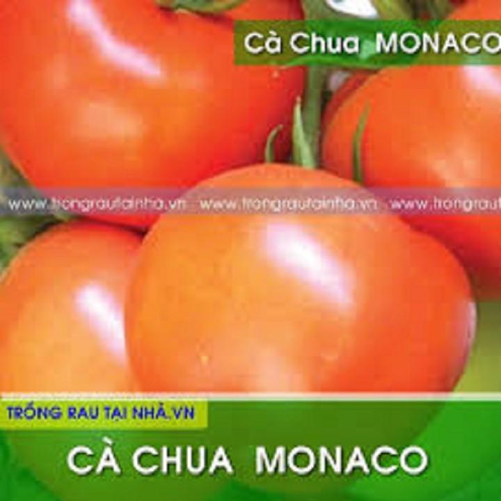 Hạt Giống Cà Chua Monaco F1 Chịu Nhiệt 5gram