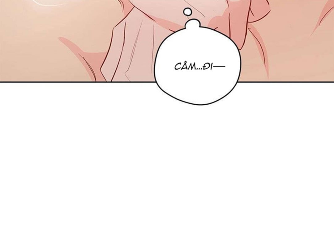 chuyện quái gì với giấc mơ đó vậy chapter 28 116