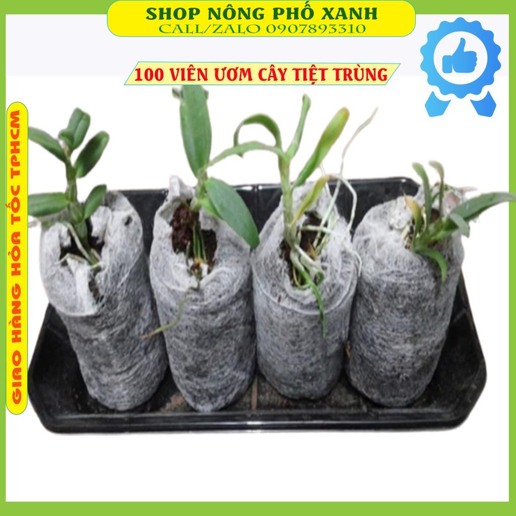 Bộ 100 viên nén ươm hạt xơ dừa hữu cơ trồng rau, dâu tây, thủy canh (loại lớn cao 60mm)