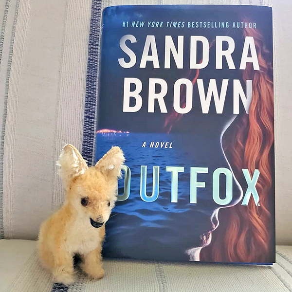 Outfox: A Novel