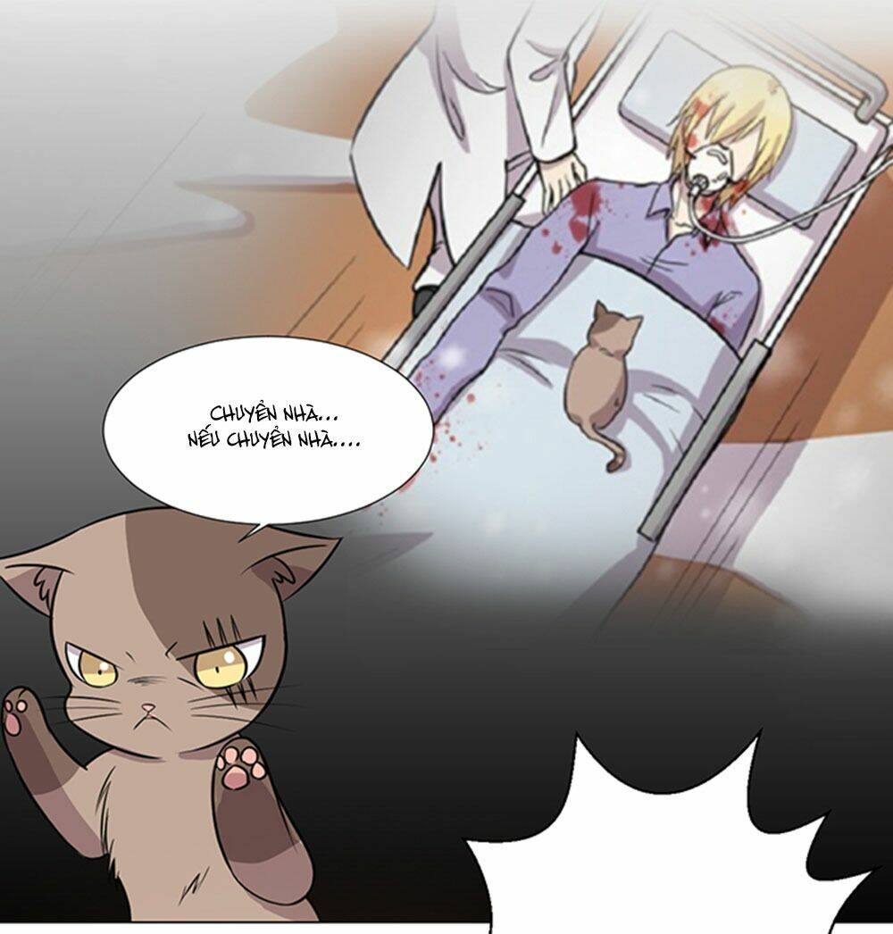 hai chú mèo totem chapter 39 45