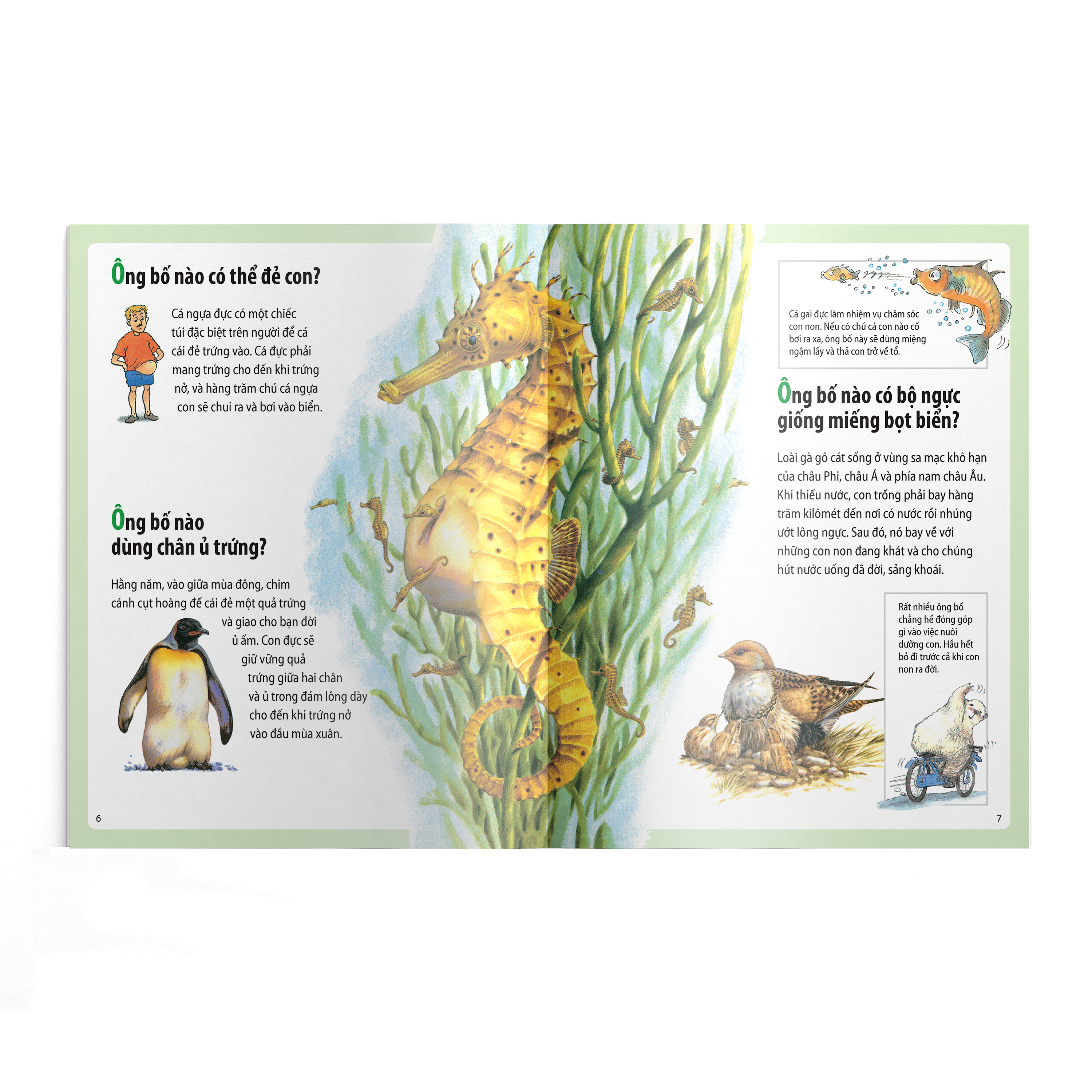 Em muốn biết vì sao (Bộ mới) - Kangaroo có túi và những câu hỏi khác về con non