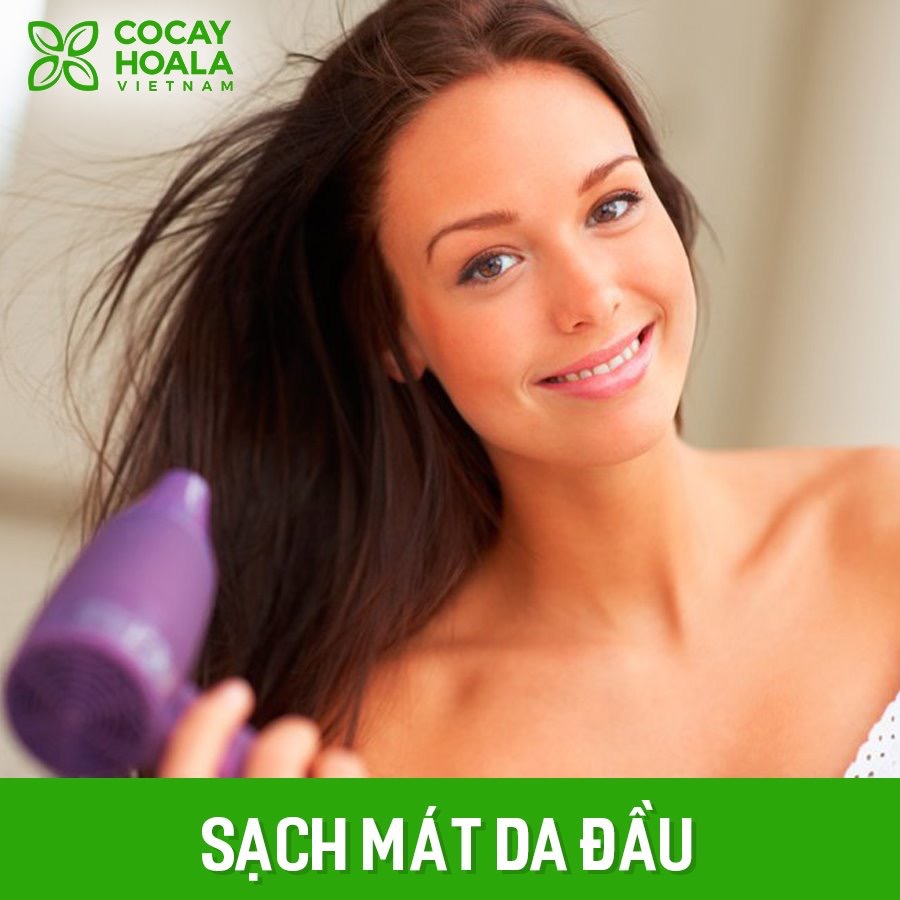 Combo 2 Dầu gội Hà Thủ Ô COCAYHOALA chai lớn 450g phục hồi tóc hư tổn Tặng 1 dầu xả gừng làm mềm tóc