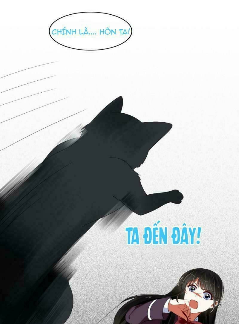 mộ thiếu, lão bà ngươi trọng sinh lại rồi! chapter 14 10