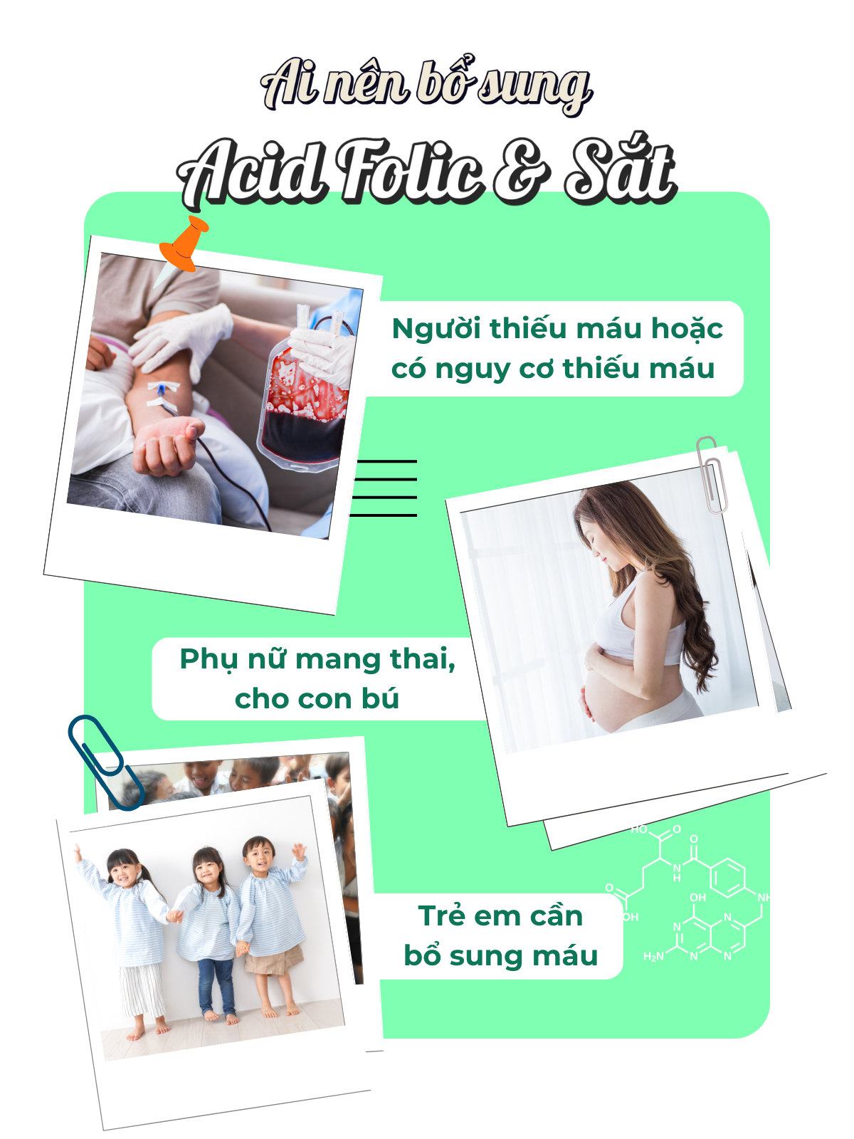 Viên Uống Bổ Sung Acid Folic &amp; Sắt Hỗ Trợ Bổ Máu Seedcoms Nhật Bản