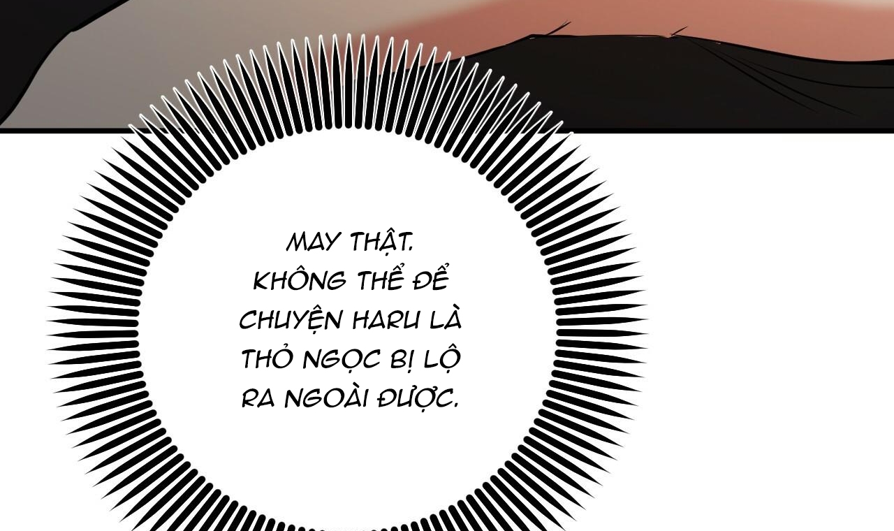 đàn thỏ của habibi chapter 49 172