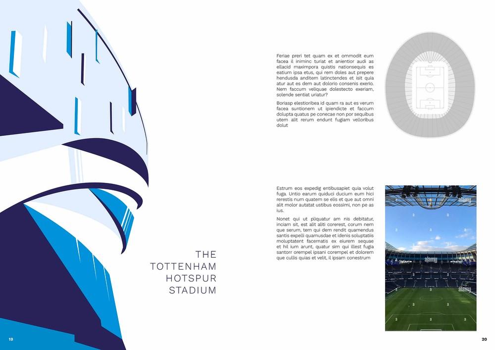 Sách - The Football Stadium Guide by Andy Greeves Daniel Brawn