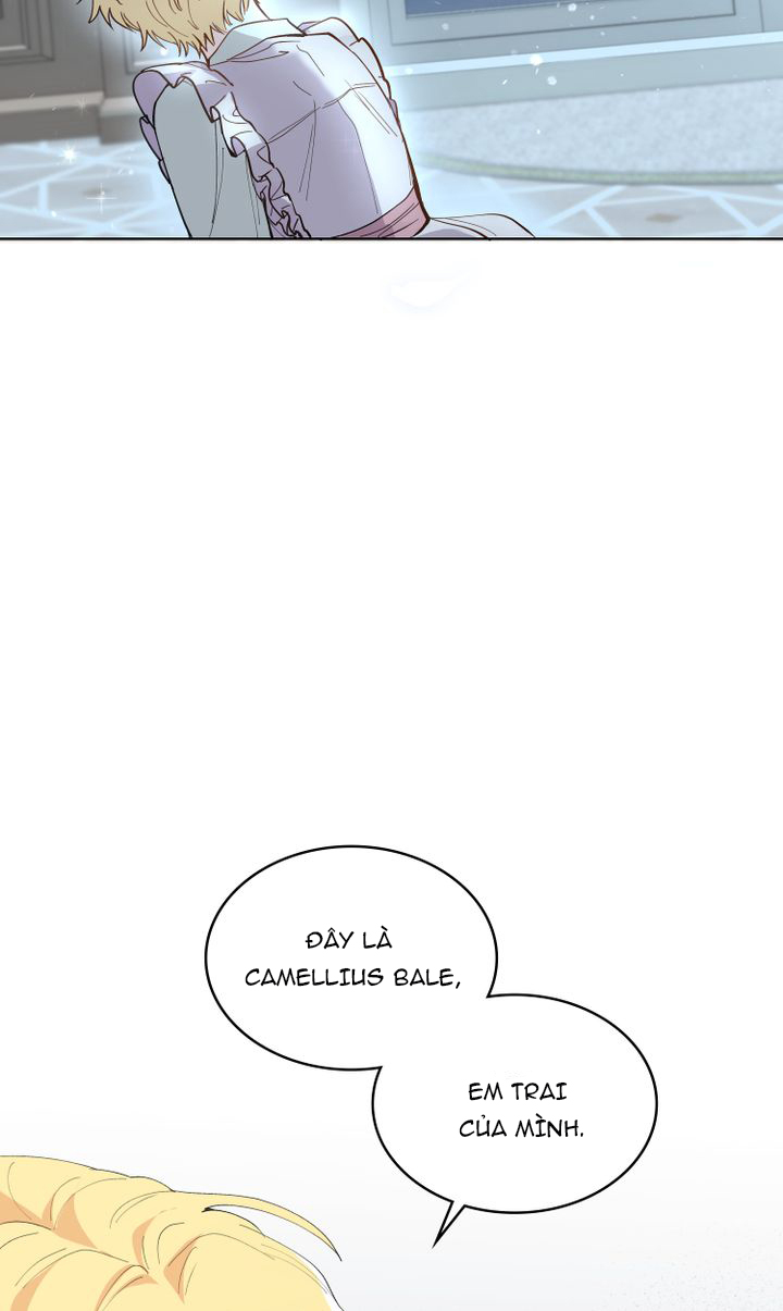 tìm lại nàng camellia chapter 0 21
