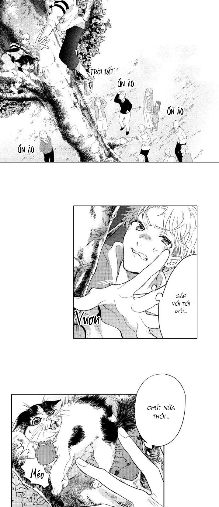 hiyoko-chan to harinezumi-kun chapter 2 5