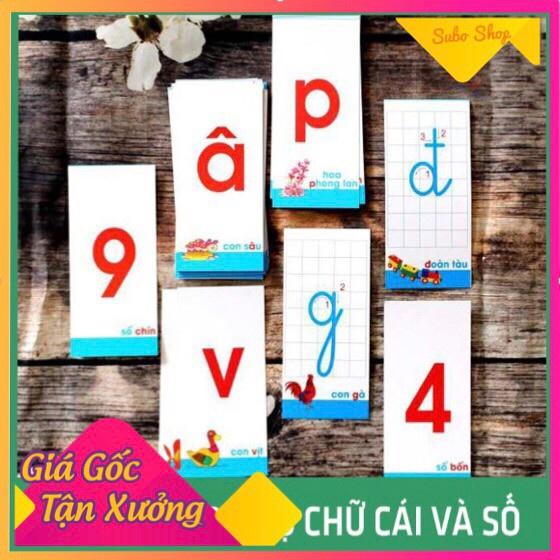 Thẻ học thông minh song ngữ bibo - đồ chơi thông minh flashcard anh việt chủ đề chữ cái và số