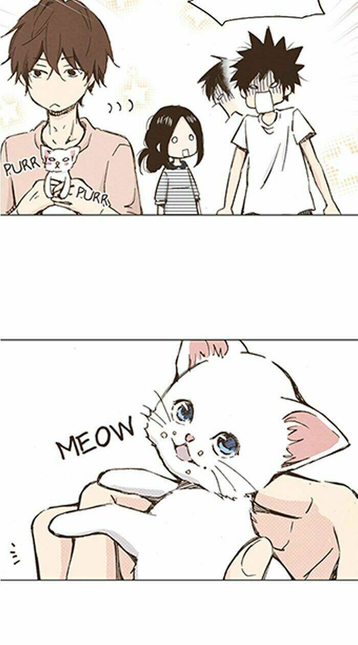 marry me! chapter 34 12